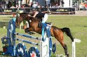 204M4653_Haeuslers Luftikus_Spring_Mx